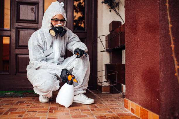 Reliable Bed Bug Control contractor in Sutter, CA by Nex Pest Control
